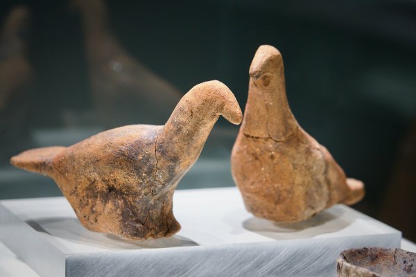 Снимка: Димитър Кьосемарлиев