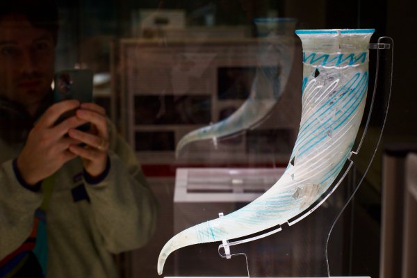 Снимка: Димитър Кьосемарлиев