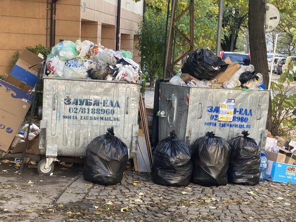 Снимка: БГНЕС