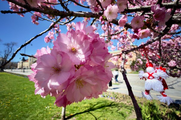 Снимка: Димитър Кьосемарлиев, Dnes.bg