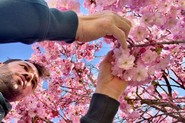 Снимка: Димитър Кьосемарлиев, Dnes.bg