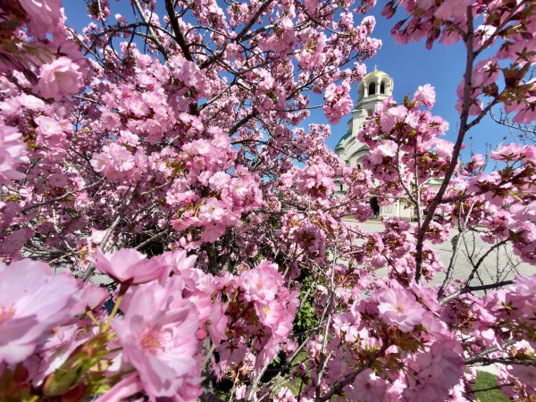 Снимка: Димитър Кьосемарлиев, Dnes.bg