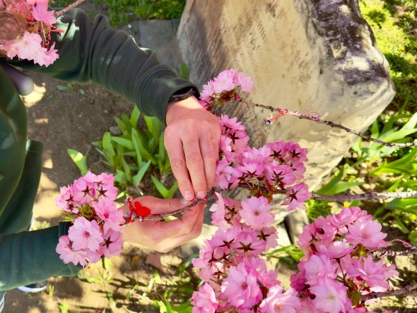 Снимка: Димитър Кьосемарлиев, Dnes.bg