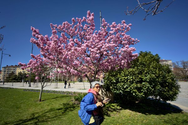 Снимка: Димитър Кьосемарлиев, Dnes.bg