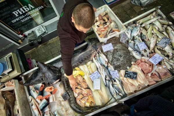 Димитър Кьосемарлиев, Dnes.bg