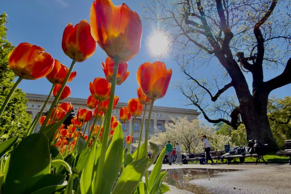 Димитър Кьосемарлиев, Dnes.bg