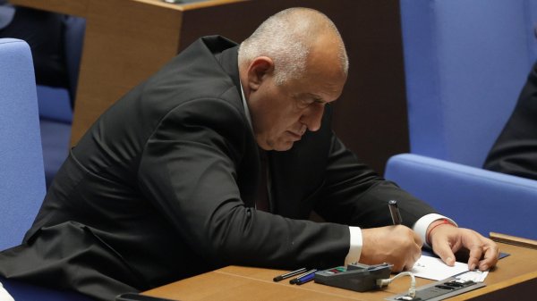 Снимка: БГНЕС