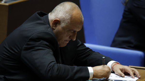 Снимка: БГНЕС