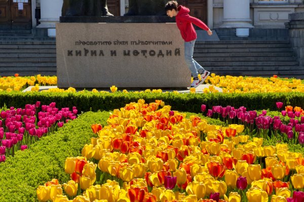 Димитър Кьосемарлиев, Dnes.bg