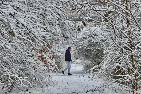 Снимка: Димитър Кьосемарлиев, Dnes.bg