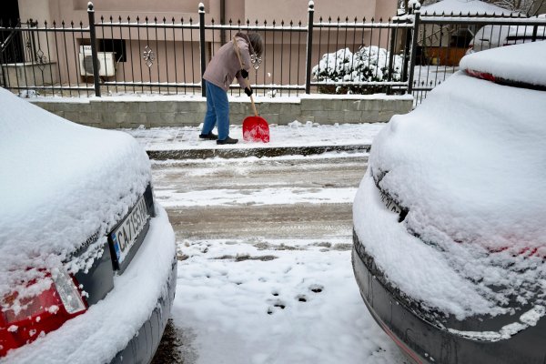 Снимка: Димитър Кьосемарлиев, Dnes.bg