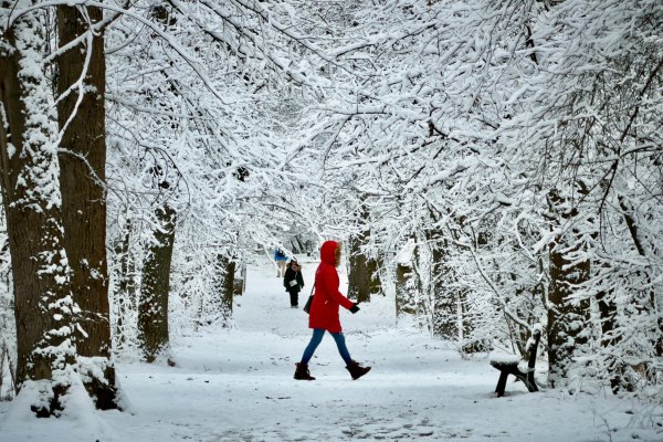 Снимка: Димитър Кьосемарлиев, Dnes.bg