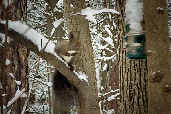 Снимка: Димитър Кьосемарлиев, Dnes.bg