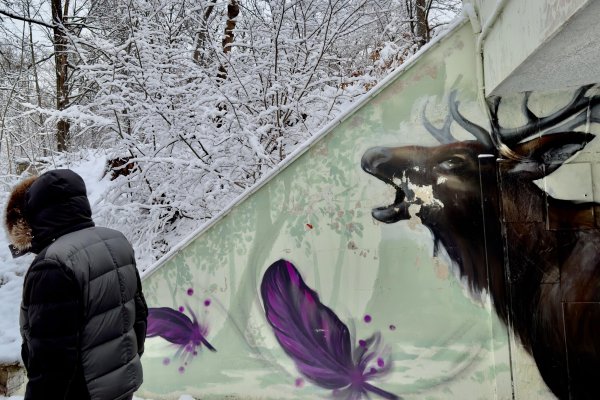 Снимка: Димитър Кьосемарлиев, Dnes.bg