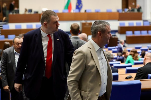 Снимка: Димитър Кьосемарлиев, Dnes.bg
