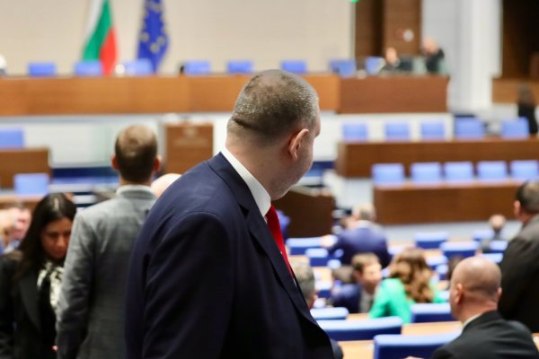 Снимка: Димитър Кьосемарлиев, Dnes.bg