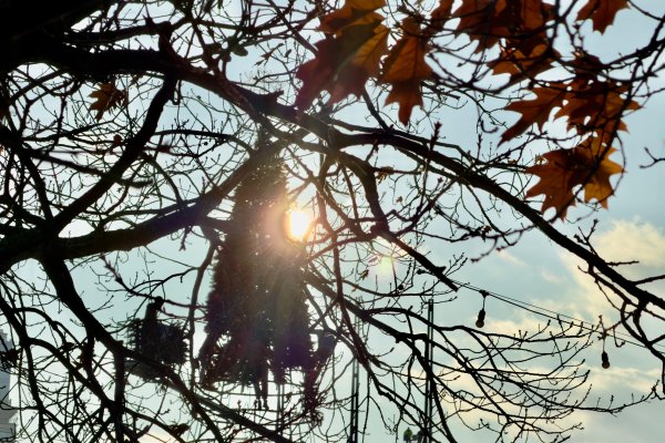 Димитър Кьосемарлиев, Dnes.bg