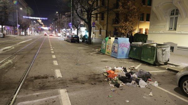 Снимка: БГНЕС