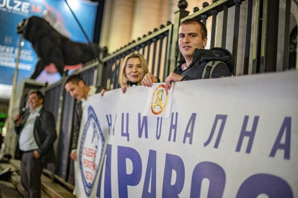 Снимка: Димитър Кьосемарлиев