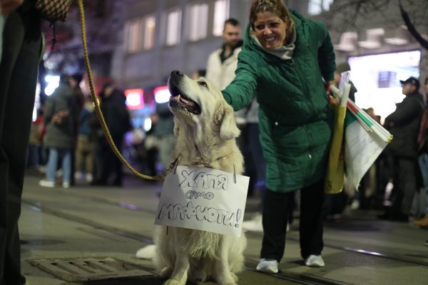 Снимка: Димитър Кьосемарлиев