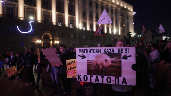 Снимки: БГНЕС