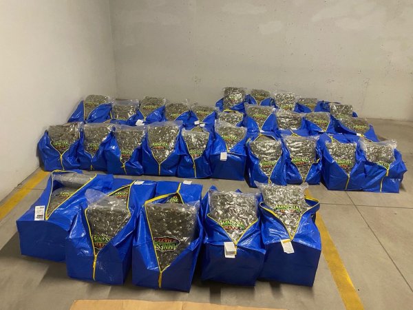 Снимка: ГДБОП