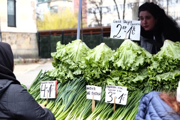 Снимка: БГНЕС
