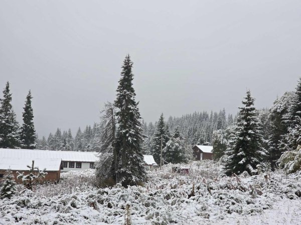 БГНЕС
