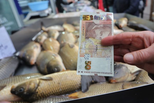 Димитър Кьосемарлиев, Dnes.bg