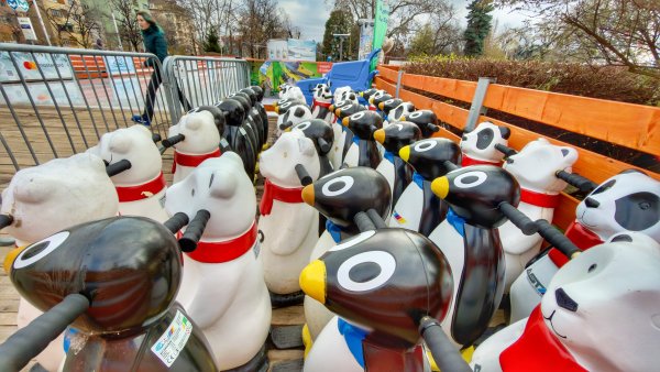 Снимка: Димитър Кьосемарлиев, Dnes.bg