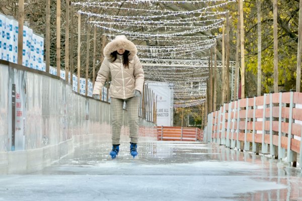 Снимка: Димитър Кьосемарлиев, Dnes.bg