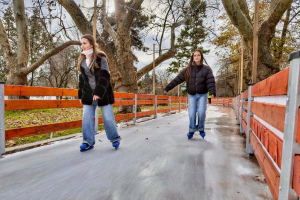 Снимка: Димитър Кьосемарлиев, Dnes.bg