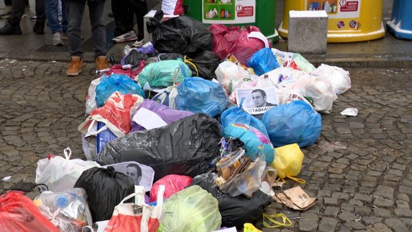 Снимка: БГНЕС