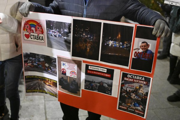 Снимка: БГНЕС