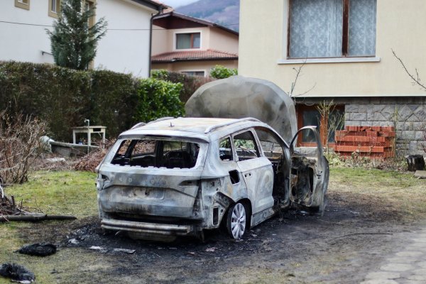 Димитър Кьосемарлиев, Dnes.bg