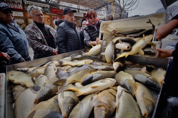 Димитър Кьосемарлиев, Dnes.bg