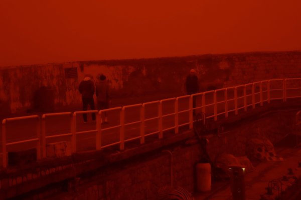 Снимка: БГНЕС