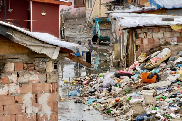 Снимка: Димитър Кьосемарлиев, Dnes.bg