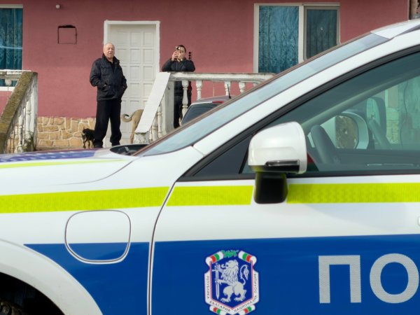 Снимка: Димитър Кьосемарлиев, Dnes.bg