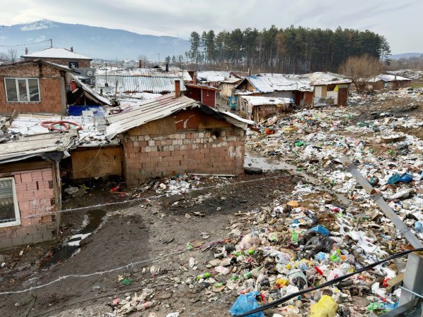 Снимка: Димитър Кьосемарлиев, Dnes.bg