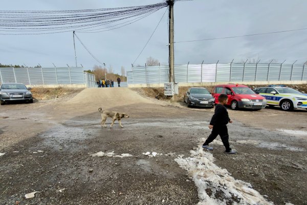 Снимка: Димитър Кьосемарлиев, Dnes.bg