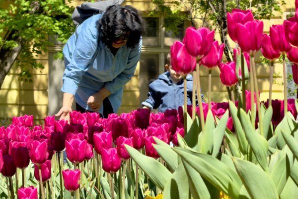 Димитър Кьосемарлиев, Dnes.bg