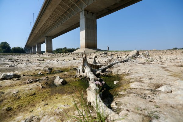 Димитър Кьосемарлиев, Dnes.bg