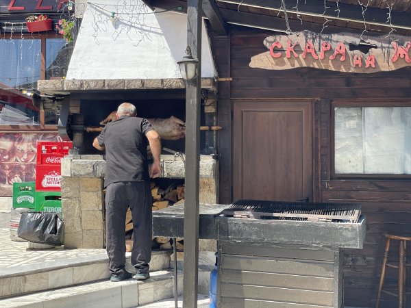 Снимка: БГНЕС