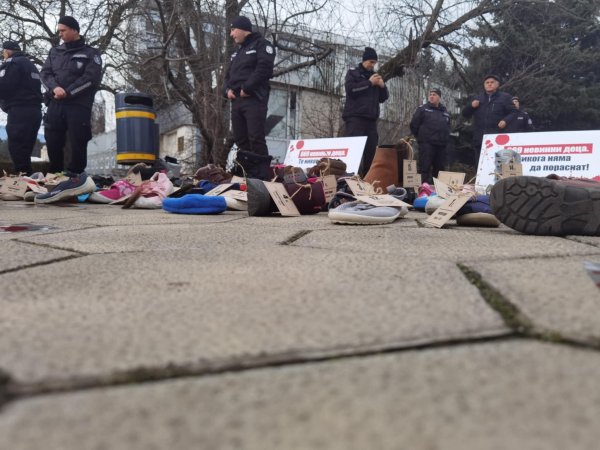 Снимка: БГНЕС