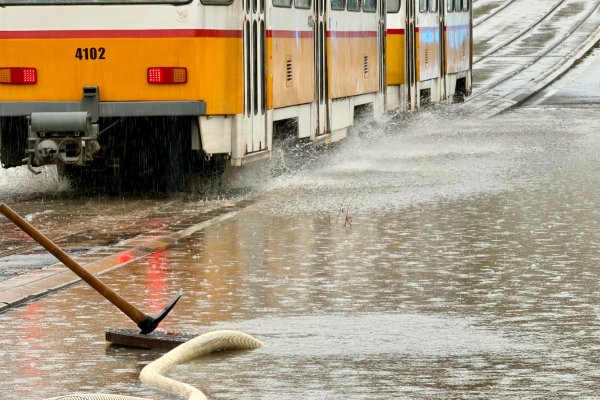 Снимка: Димитър Кьосемарлиев