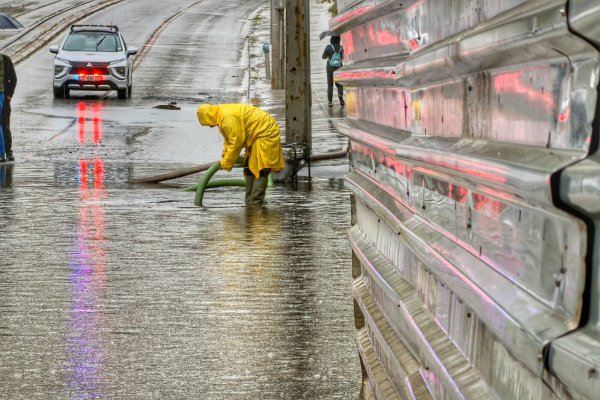 Снимка: Димитър Кьосемарлиев