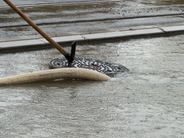 Снимка: Димитър Кьосемарлиев