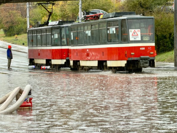 Снимка: Димитър Кьосемарлиев