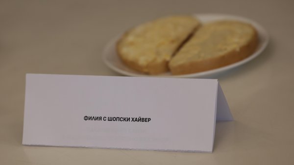 Снимка: БГНЕС